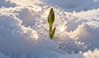 大寒护肤笔记｜以温养润，筑牢肌肤冬日防线