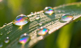 职场宝妈的身心养护指南：悦纳自我，焕活本真