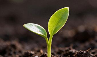 心愈则肤润：以成熟育儿心态，养内外通透好肌肤