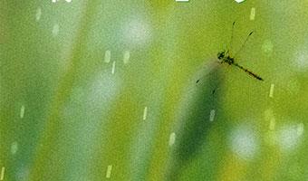 谷雨至，春渐暖｜顺应时节，护养肌肤，共赴美好新程