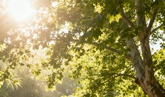 盛夏高温护肤指南：科学防晒养护，守护肌肤清爽状态